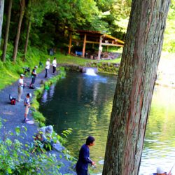 小菅トラウトガーデン 釣果