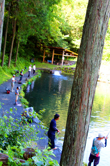 小菅トラウトガーデン 釣果