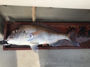 白墨丸 釣果