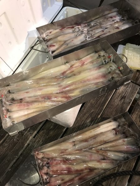 寿裕 （YOSHIHIRO） 釣果