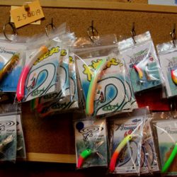 小菅トラウトガーデン 釣果