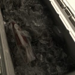 寿裕 （YOSHIHIRO） 釣果