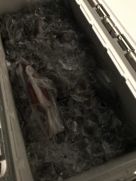 寿裕 （YOSHIHIRO） 釣果