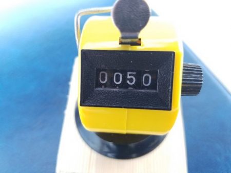 Magic（マジック） 釣果