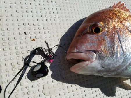 遊漁船 ニライカナイ 釣果