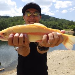 フィッシングレイクたかみや 釣果