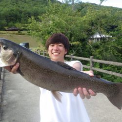 フィッシングレイクたかみや 釣果