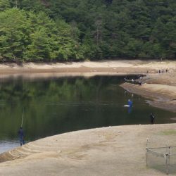 フィッシングレイクたかみや 釣果
