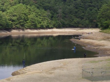 フィッシングレイクたかみや 釣果
