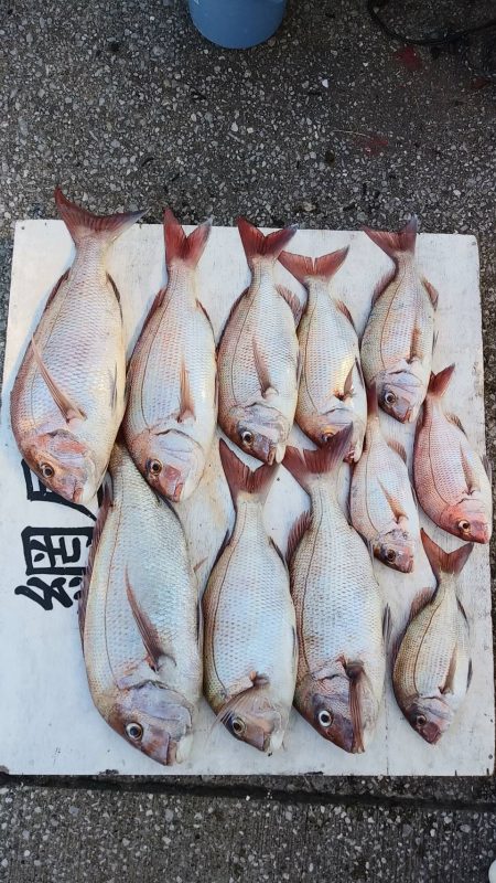 網屋丸 釣果