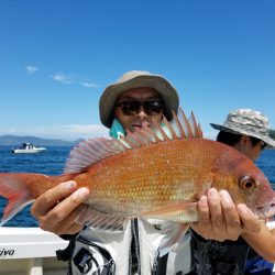 遊漁船 ニライカナイ 釣果