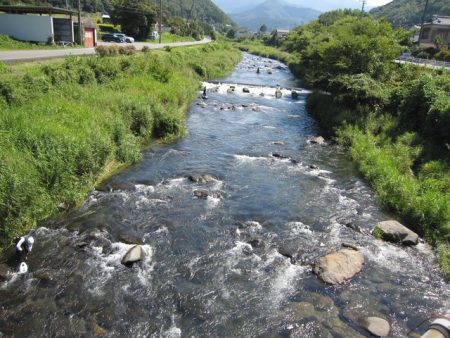 狩野川(狩野川漁業協同組合) 釣果