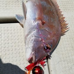 遊漁船 ニライカナイ 釣果