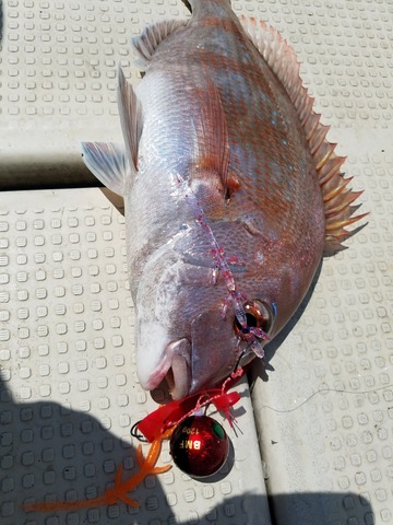 遊漁船 ニライカナイ 釣果
