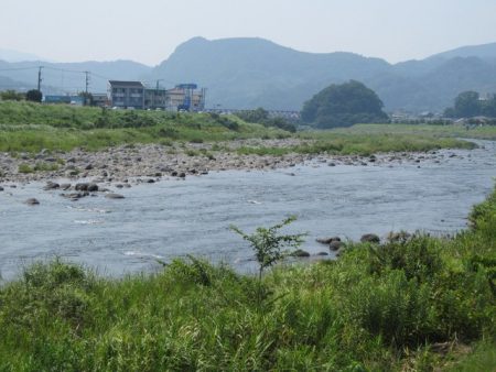 狩野川(狩野川漁業協同組合) 釣果