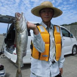 大進丸(新潟) 釣果