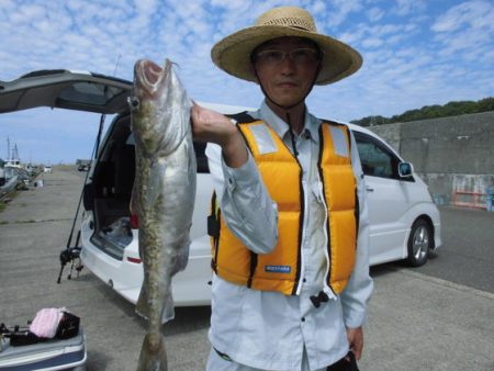 大進丸(新潟) 釣果