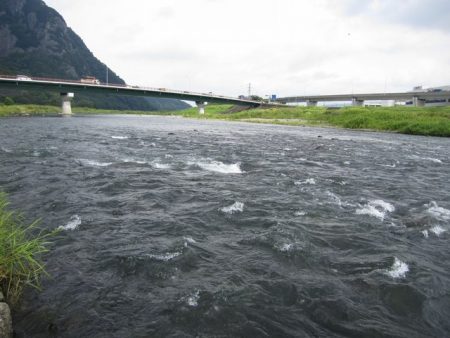 狩野川(狩野川漁業協同組合) 釣果