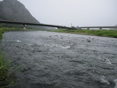 狩野川(狩野川漁業協同組合) 釣果