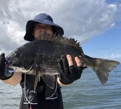 THESEAMAN(ザシーマン) 釣果