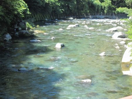 狩野川(狩野川漁業協同組合) 釣果
