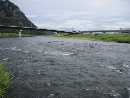 狩野川(狩野川漁業協同組合) 釣果