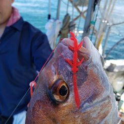 遊漁船 ニライカナイ 釣果