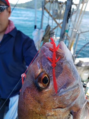 遊漁船 ニライカナイ 釣果