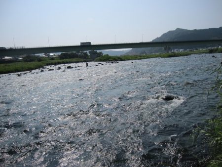 狩野川（狩野川漁業協同組合） 釣果