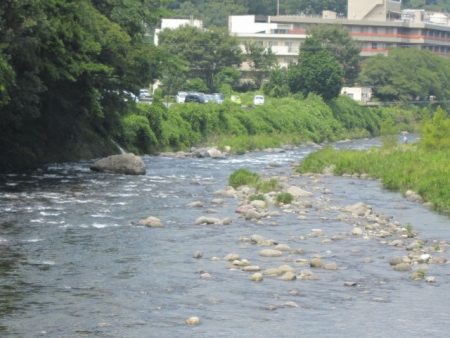 狩野川(狩野川漁業協同組合) 釣果