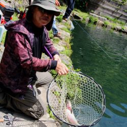 小菅トラウトガーデン 釣果
