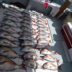 遊漁船 幸友丸 釣果