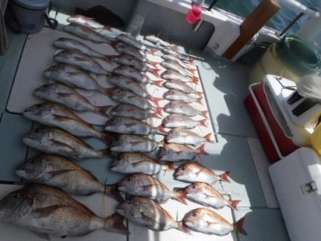 遊漁船 幸友丸 釣果