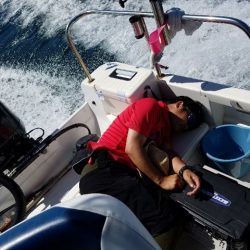 Magic(マジック) 釣果