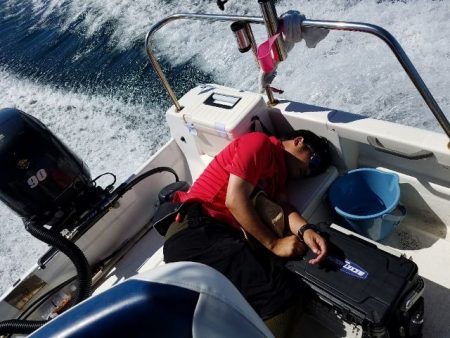 Magic(マジック) 釣果