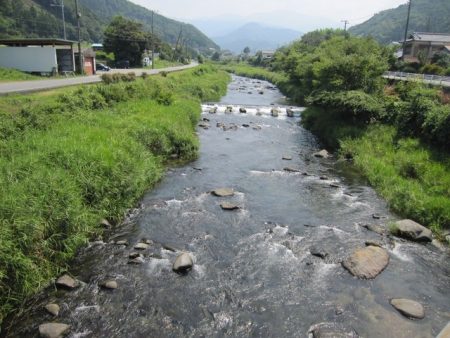 狩野川(狩野川漁業協同組合) 釣果