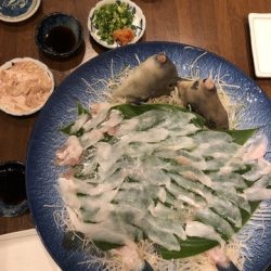千宝丸 釣果