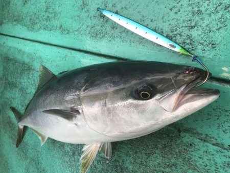 広進丸 釣果