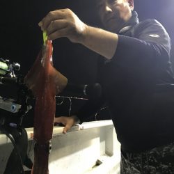 寿裕 （YOSHIHIRO） 釣果