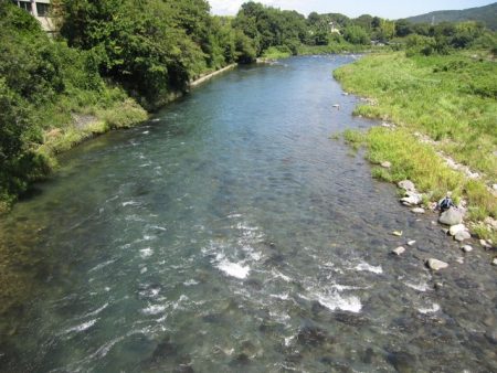 狩野川(狩野川漁業協同組合) 釣果