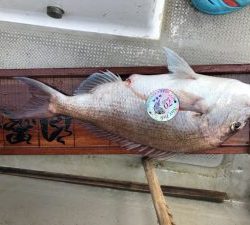 白墨丸 釣果