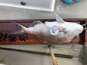 白墨丸 釣果