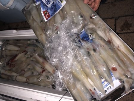 幸風（さちかぜ） 釣果