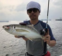 THESEAMAN(ザシーマン) 釣果