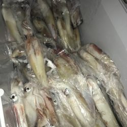 寿裕 （YOSHIHIRO） 釣果