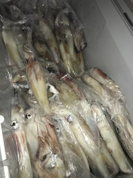 寿裕 （YOSHIHIRO） 釣果