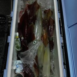 第二大福丸 釣果