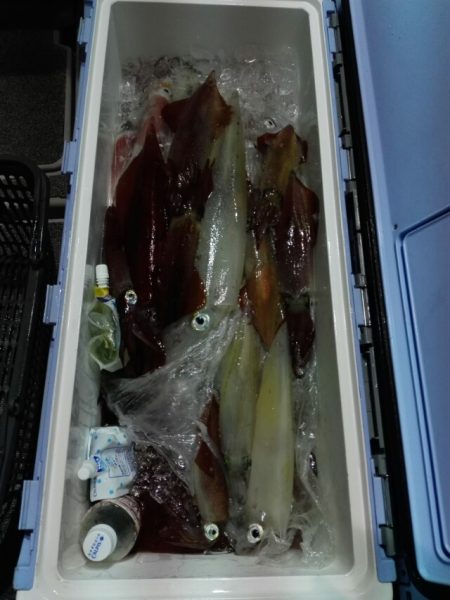 第二大福丸 釣果