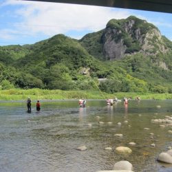 狩野川(狩野川漁業協同組合) 釣果