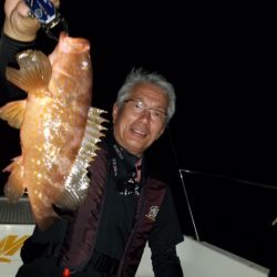 Magic（マジック） 釣果